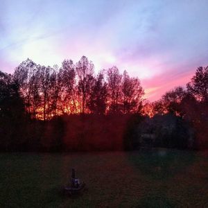 Meet your Posher, Lynn martin